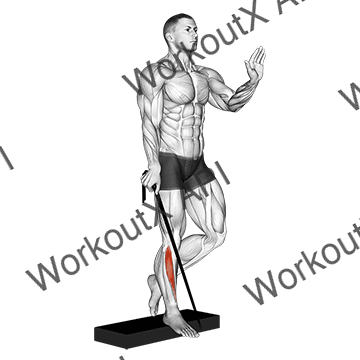 Band Single Leg Reverse Calf Raise animated GIF