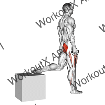 Band Single Leg Split Squat animated GIF