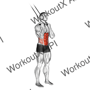 Band Standing Crunch animated GIF