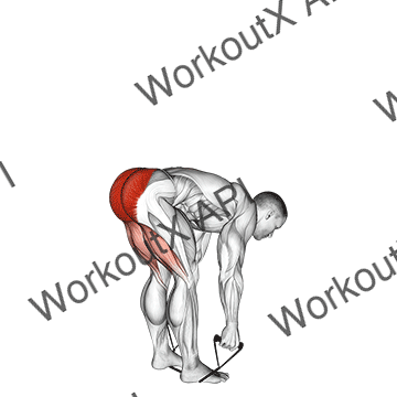 Band Stiff Leg Deadlift animated GIF