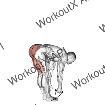 Band Straight Leg Deadlift animated GIF