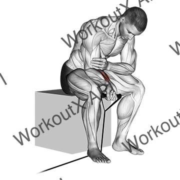 Band Wrist Curl animated GIF