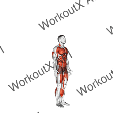 Burpee animated GIF