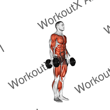 Dumbbell Burpee animated GIF