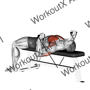 Band Bench Press animated GIF