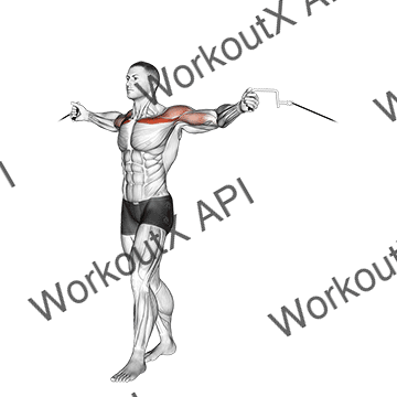 Cable Upper Chest Crossovers animated GIF