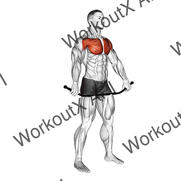 Chest And Front Of Shoulder Stretch animated GIF