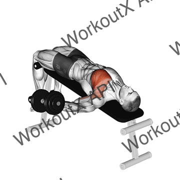 Dumbbell Decline One Arm Fly animated GIF