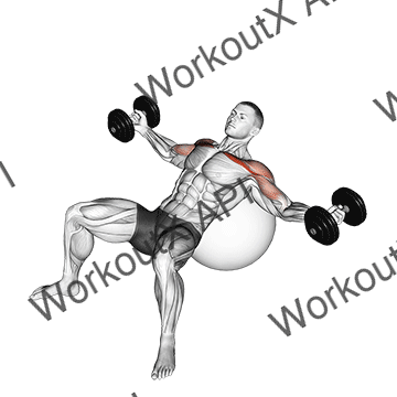 Dumbbell Incline Fly On Exercise Ball animated GIF