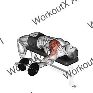 Dumbbell One Arm Bench Fly animated GIF