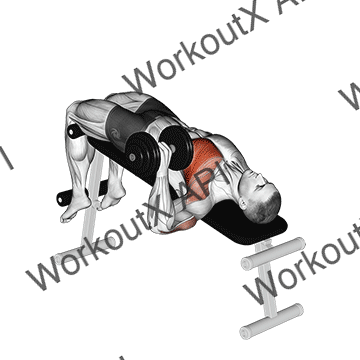 Dumbbell One Arm Decline Chest Press animated GIF