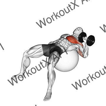 Dumbbell One Arm Press On Exercise Ball animated GIF