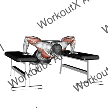 Weighted Drop Push Up animated GIF