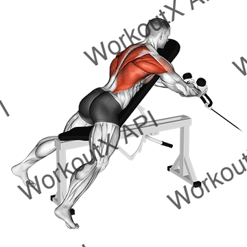 Cable Rope Extension Incline Bench Row animated GIF