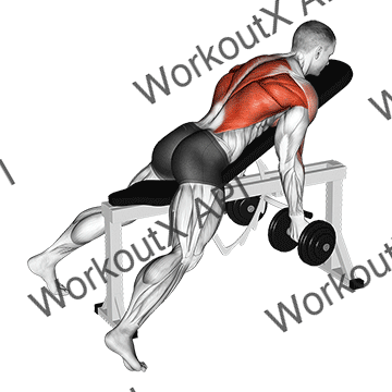 Dumbbell Lying Rear Delt Row animated GIF