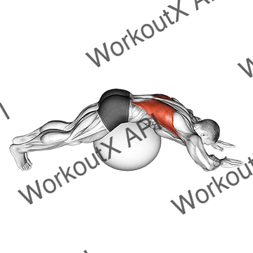 Exercise Ball Lower Back Stretch (pyramid) animated GIF