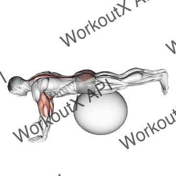 Exercise Ball Prone Leg Raise animated GIF
