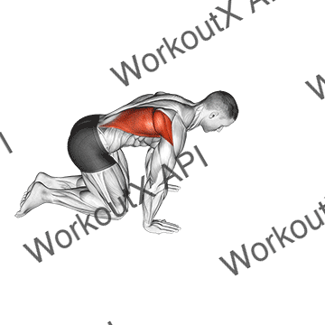 Kneeling Lat Stretch animated GIF