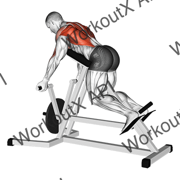 Lever Reverse T-bar Row animated GIF