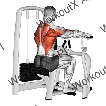 Lever Seated Row animated GIF