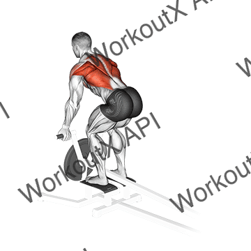 Lever T-bar Reverse Grip Row animated GIF