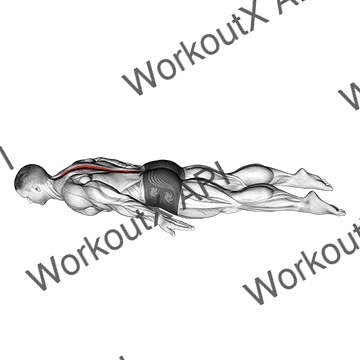 Lower Back Curl animated GIF