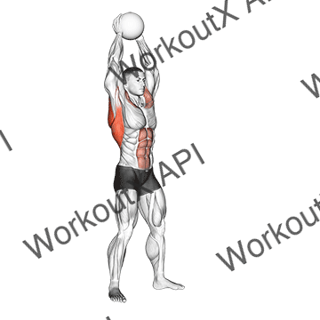 Medicine Ball Overhead Slam animated GIF