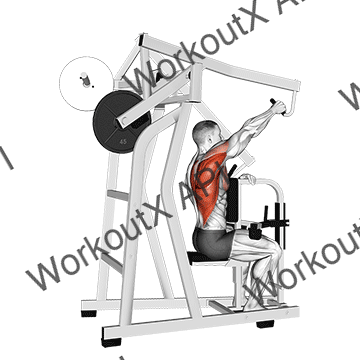 Lever One Arm Lateral High Row animated GIF