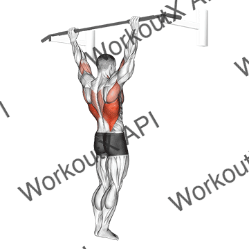 Wide Grip Rear Pull-up animated GIF