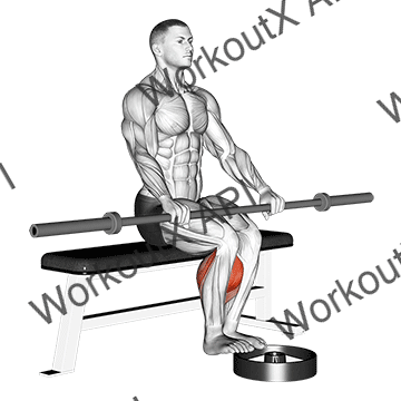 Barbell Seated Calf Raise
