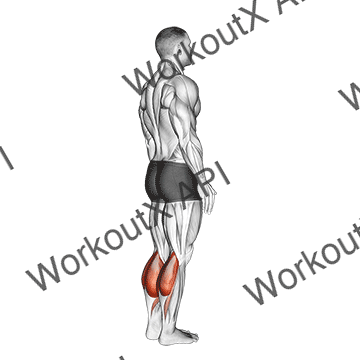 Bodyweight Standing Calf Raise animated GIF