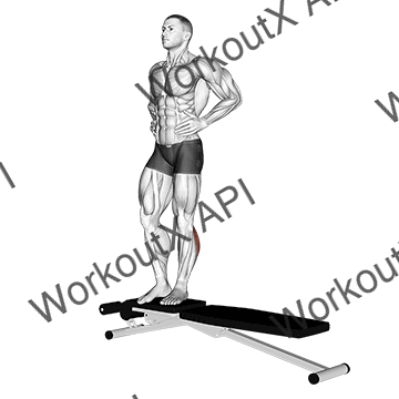 Box Jump Down With One Leg Stabilization animated GIF