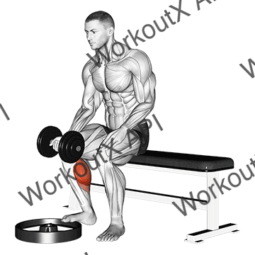 Dumbbell Seated One Leg Calf Raise - Palm Up animated GIF