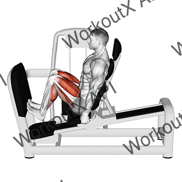 Lever Seated Squat Calf Raise On Leg Press Machine animated GIF