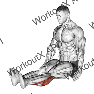 Seated Calf Stretch (male) animated GIF