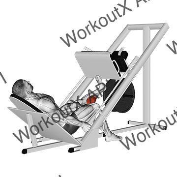 Sled One Leg Calf Press On Leg Press animated GIF