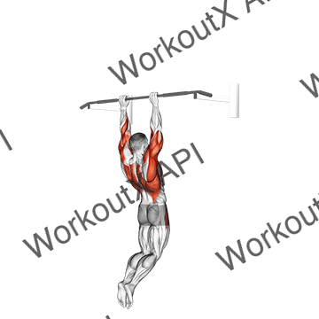 Muscle-up (on Vertical Bar) animated GIF