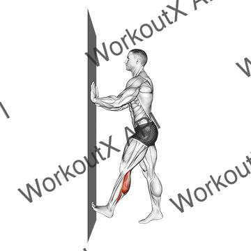 Calf Push Stretch With Hands Against Wall animated GIF
