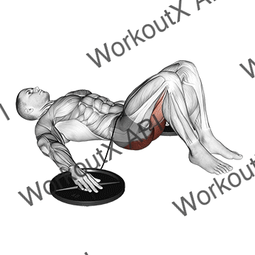 Band Hip Lift animated GIF
