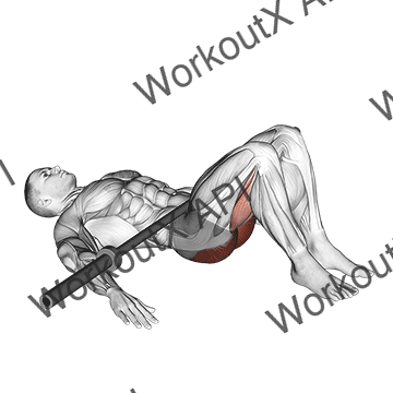 Barbell Glute Bridge animated GIF