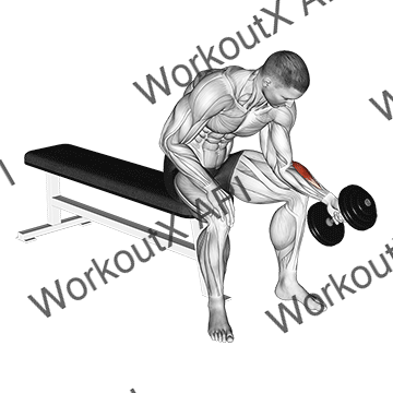 Dumbbell One Arm Seated Neutral Wrist Curl animated GIF