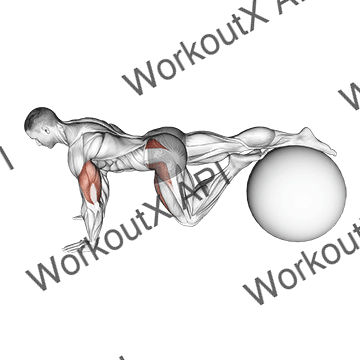 Exercise Ball One Leg Prone Lower Body Rotation animated GIF