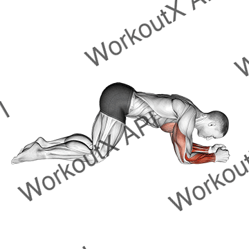 Modified Push Up To Lower Arms animated GIF