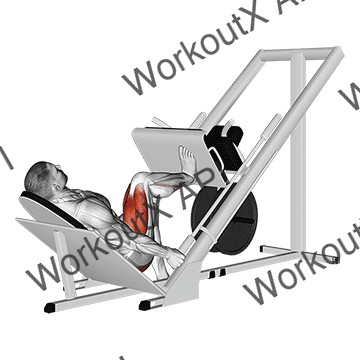 Sled 45 Degrees One Leg Press animated GIF