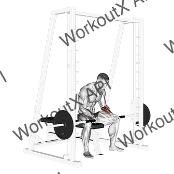 Smith Seated Wrist Curl animated GIF