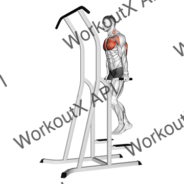 Chest Dip (on Dip-pull-up Cage) animated GIF