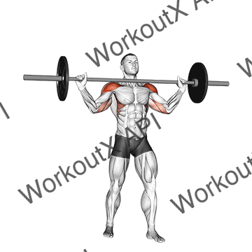 Barbell Standing Wide Military Press animated GIF