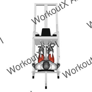 Sled 45° Leg Press (back Pov) animated GIF