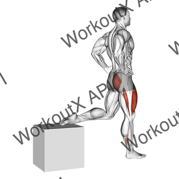 One Leg Squat animated GIF