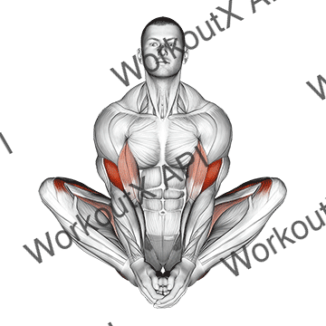 Butterfly Yoga Pose animated GIF